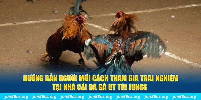 hi88r loi game dot kich ket noi may chu that bai