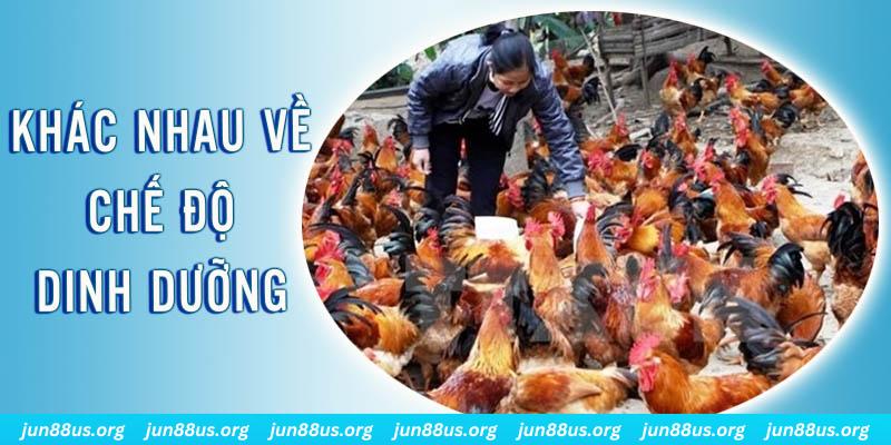 hi88r xổ số miền nam thứ năm hàng tuần