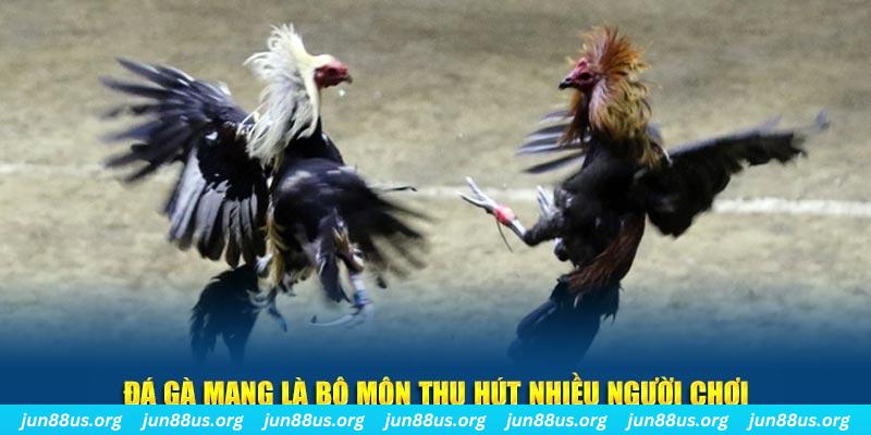 hi88r đăng nhập lô đề hàng đầu