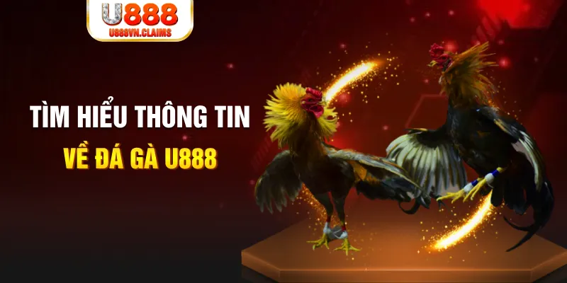 hi88r đăng nhập tiến lên miền nam hàng đầu