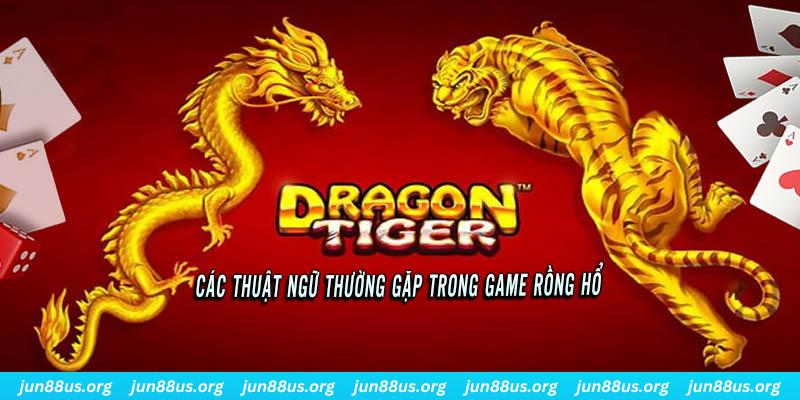 hi88r ÁT CHỦ BÀI ĐẤU ĐỊA CHỦ