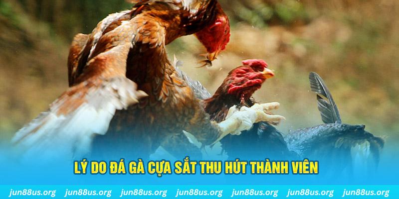 hi88r chiếm slot là gì