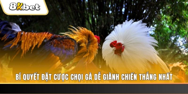 hi88r xổ số thứ hai hàng tuần