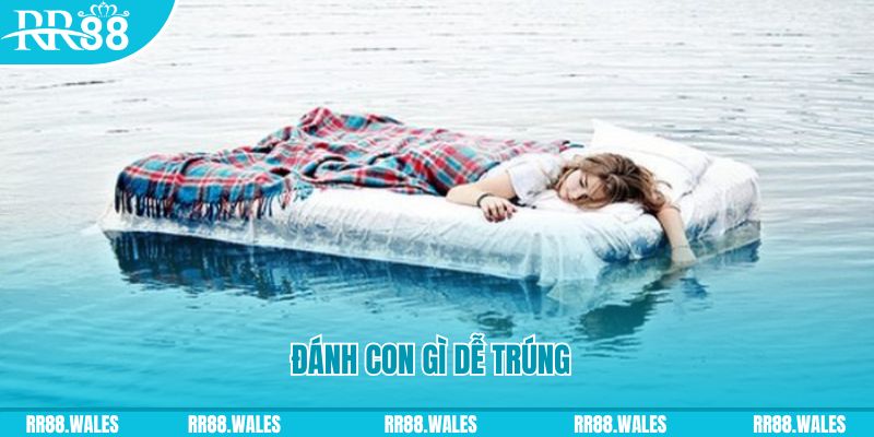 hi88r đăng nhập liêng hàng đầu