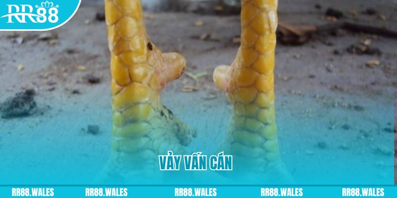 hi88r đăng nhập nổ hũ hôm nay