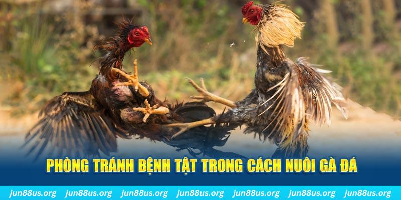hi88r đăng nhập phỏm online