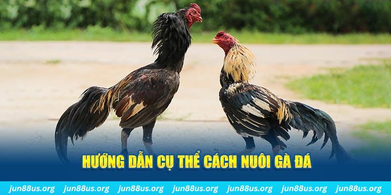 hi88r đăng nhập sòng bạc số 1
