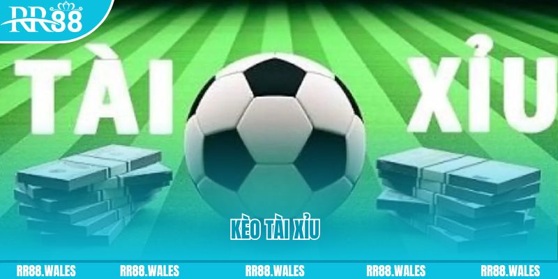 hi88r Giành Chủ Bull Bull